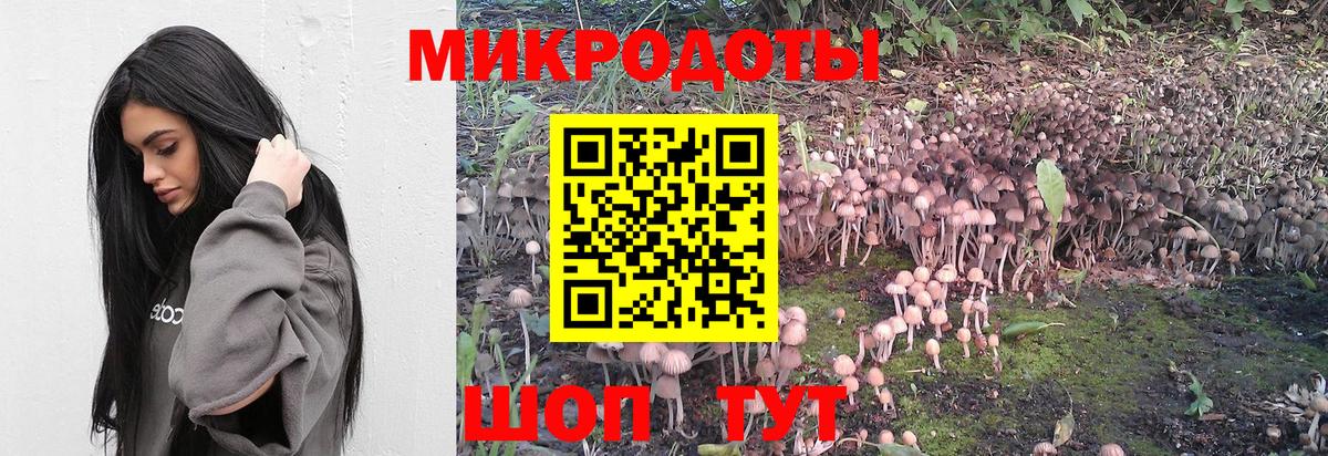 Псилоцибиновые грибы ЛСД Екатеринбург