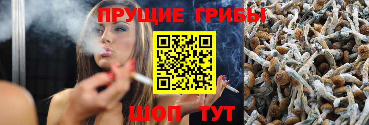 Екатеринбург  Псилоцибиновые грибы Psilocybe  Вход с VPN 